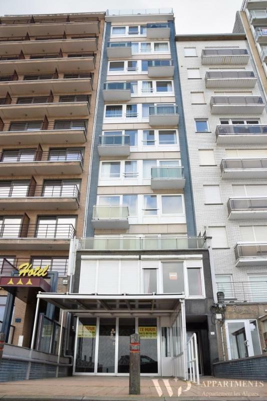 Residentie Les Algues 8Ste Verdieping 布兰肯贝赫 外观 照片